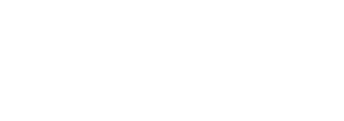 Nemzeti Egészségügyi és Munkaerőpiaci Program